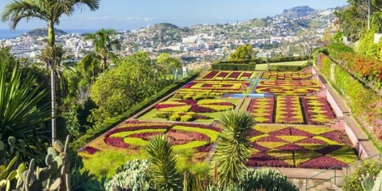 5 Reasons Why You Should Go To Funchal and Hire a Car